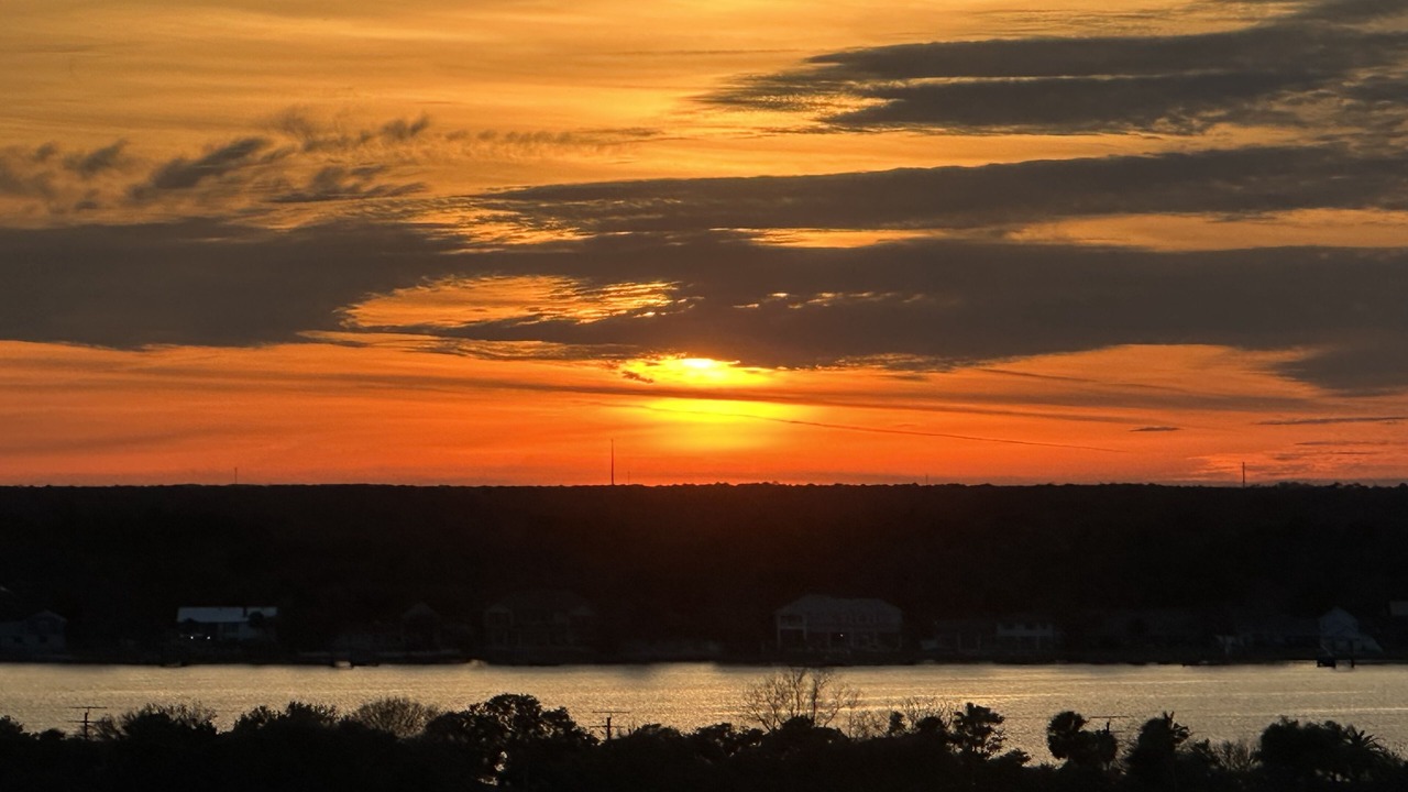 Photo of Others in Ormond-by-the-Sea