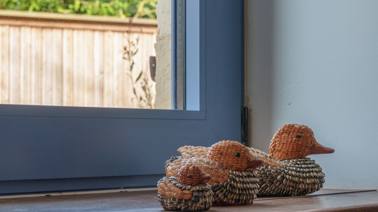 Photo of Others in Bourgueil