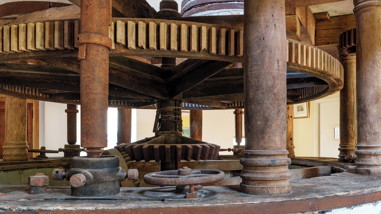 Photo of Others in Bourgueil