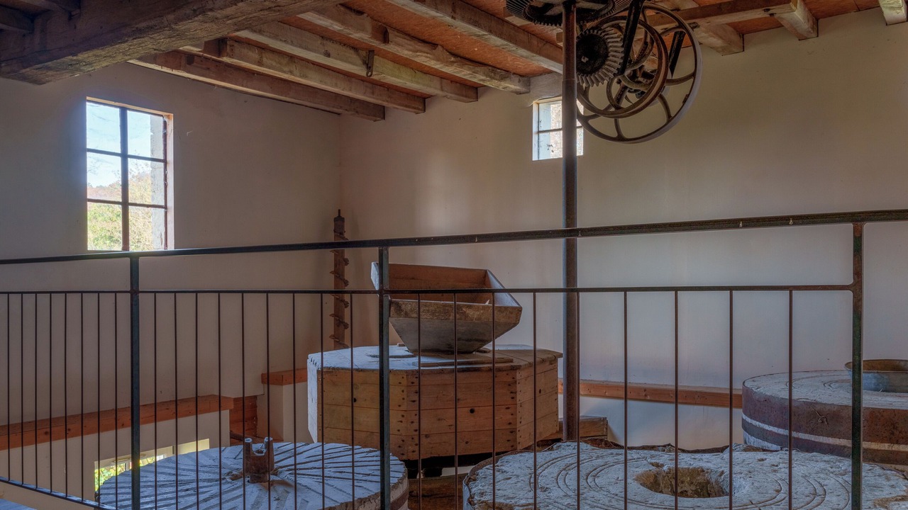 Photo of Others in Bourgueil