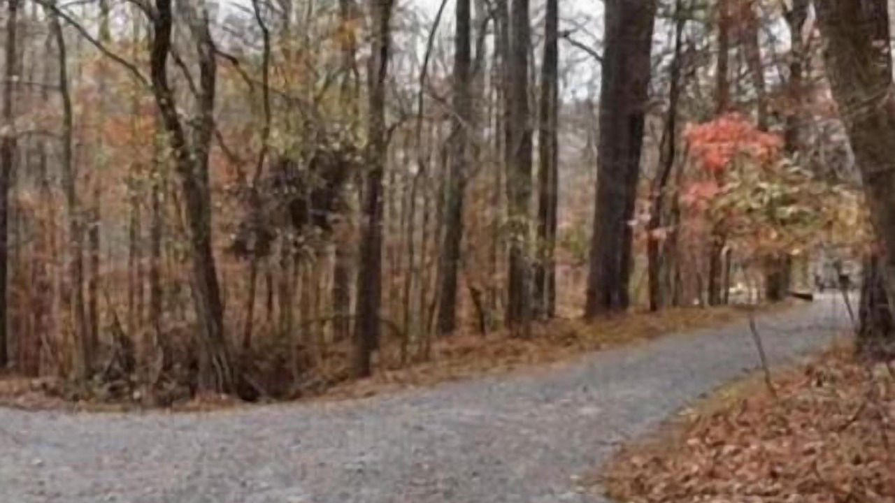 Photo of Outdoor in Cartersville