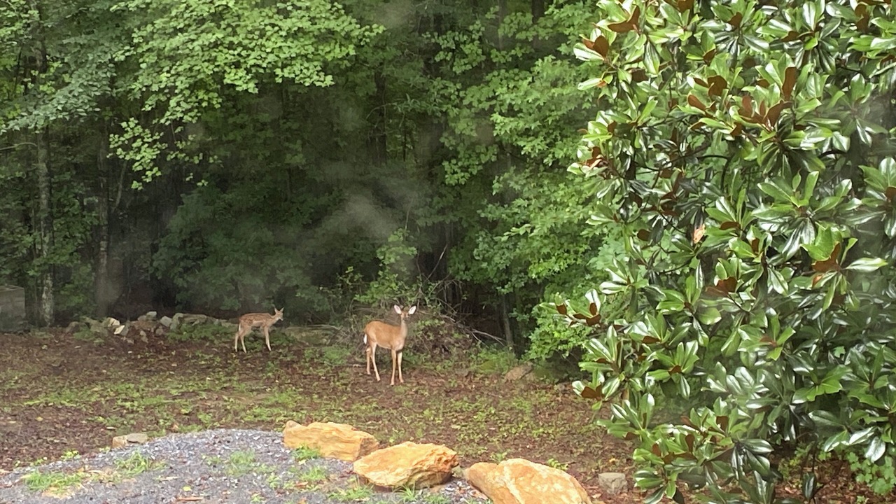 Photo of Outdoor in Cartersville