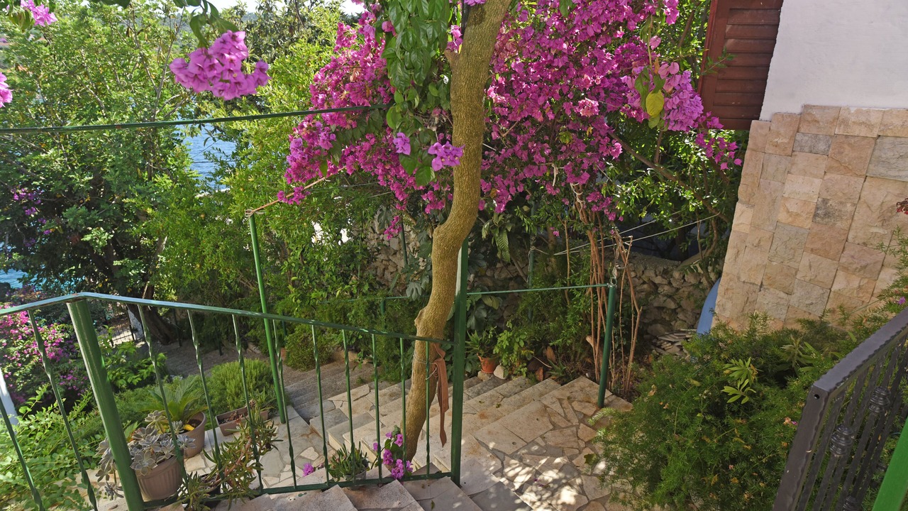 Photo of Outdoor in Veliki Drvenik