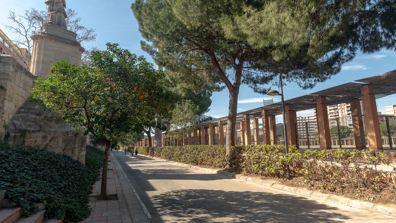 Photo of Outdoor in La Petxina