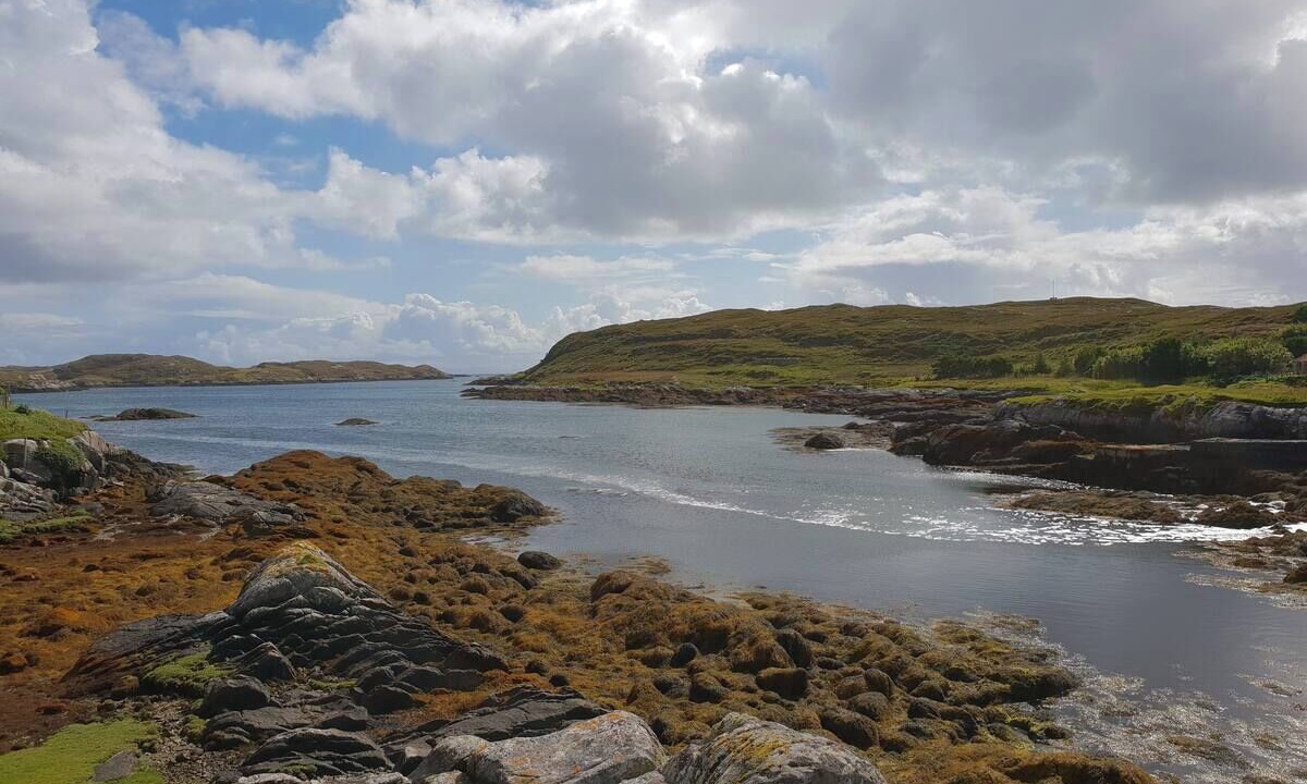 Photo of Others in Harris