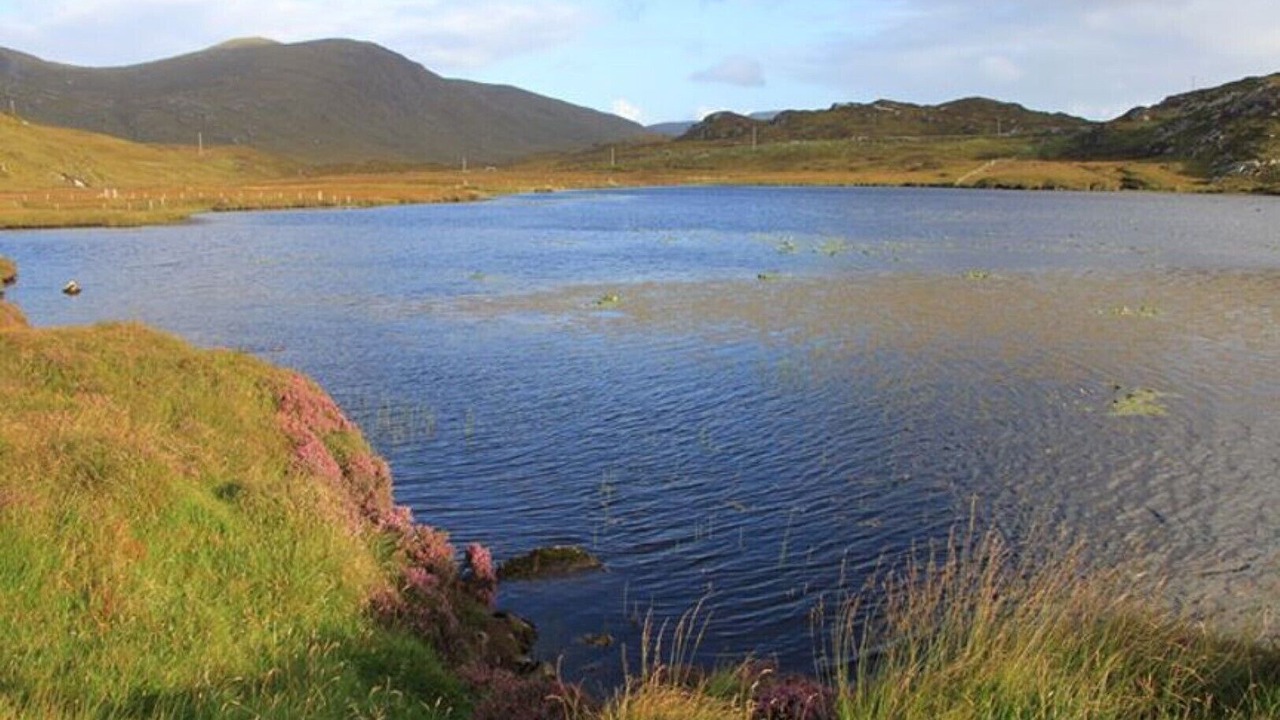 Photo of Others in Harris