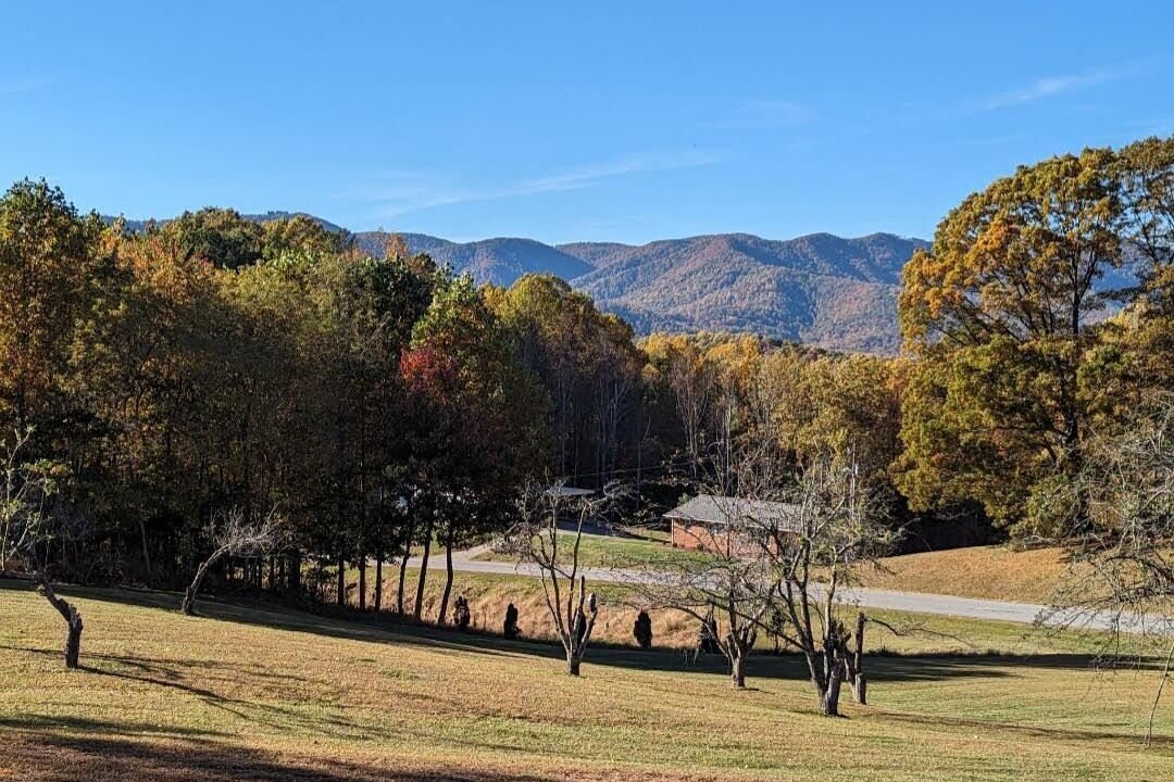 Photo of Outdoor in Smith River