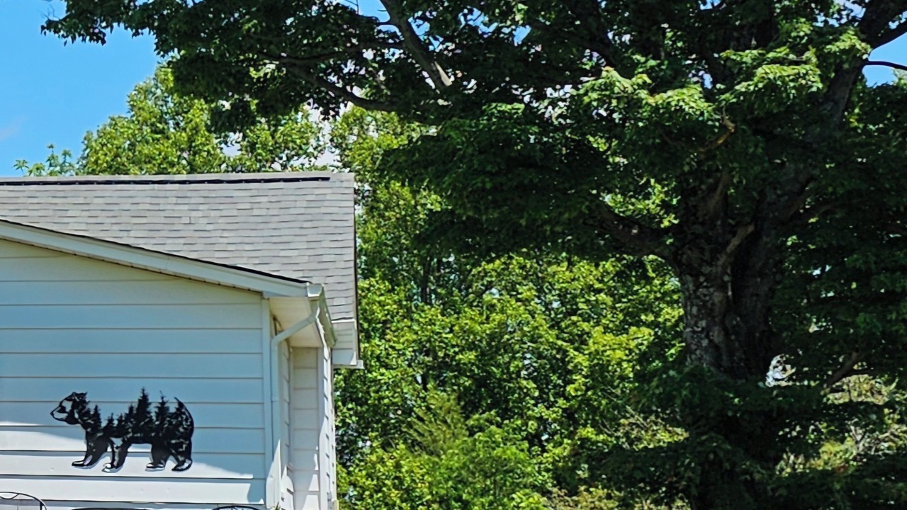 Photo of Outdoor in Smith River