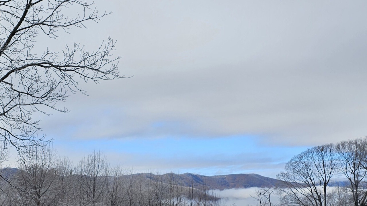 Photo of Outdoor in Smith River
