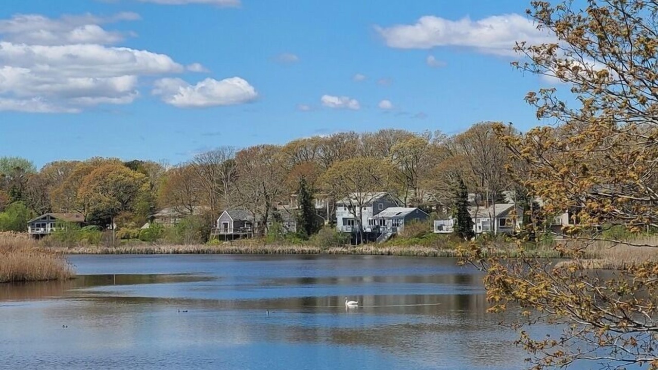Photo of Others in Hyannis