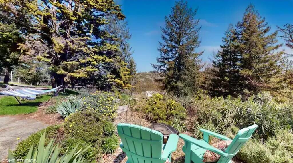 Photo of Outdoor in Los Gatos