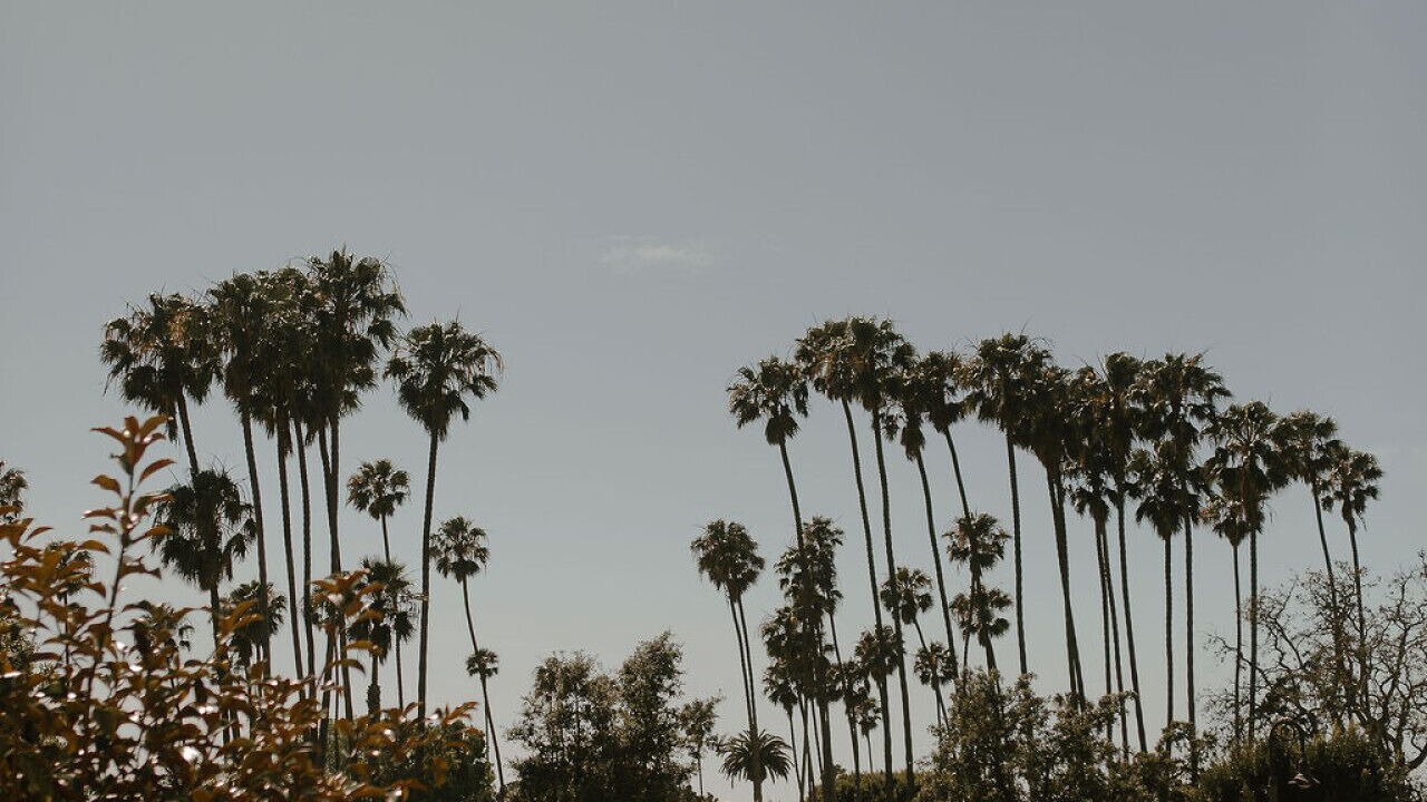 Photo of Others in San Clemente