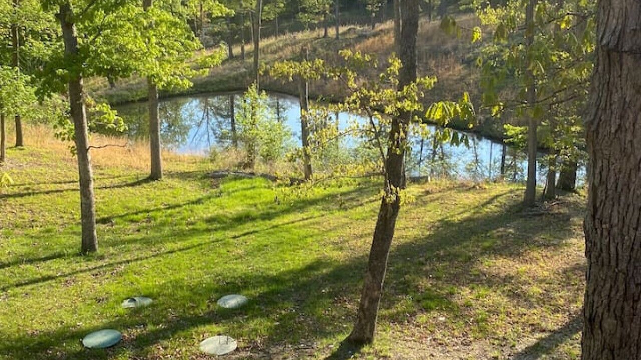 Photo of Outdoor in Lake Ozark
