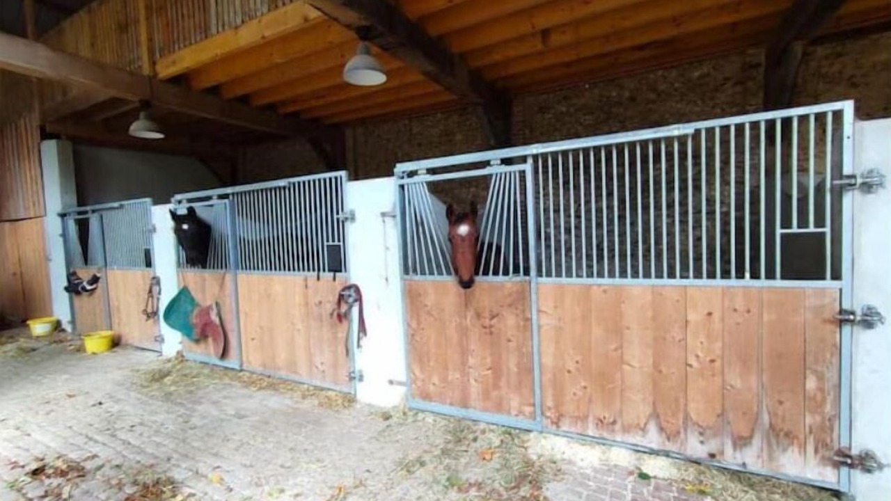 Photo of Outdoor in Saint-Jean-du-Cardonnay