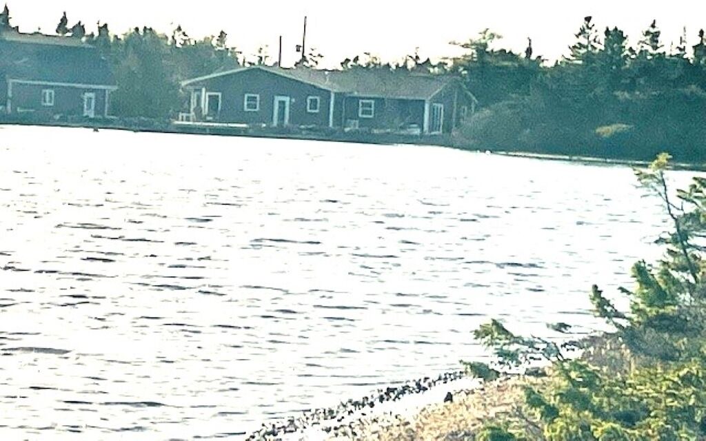 Photo of Others in Grand Beach