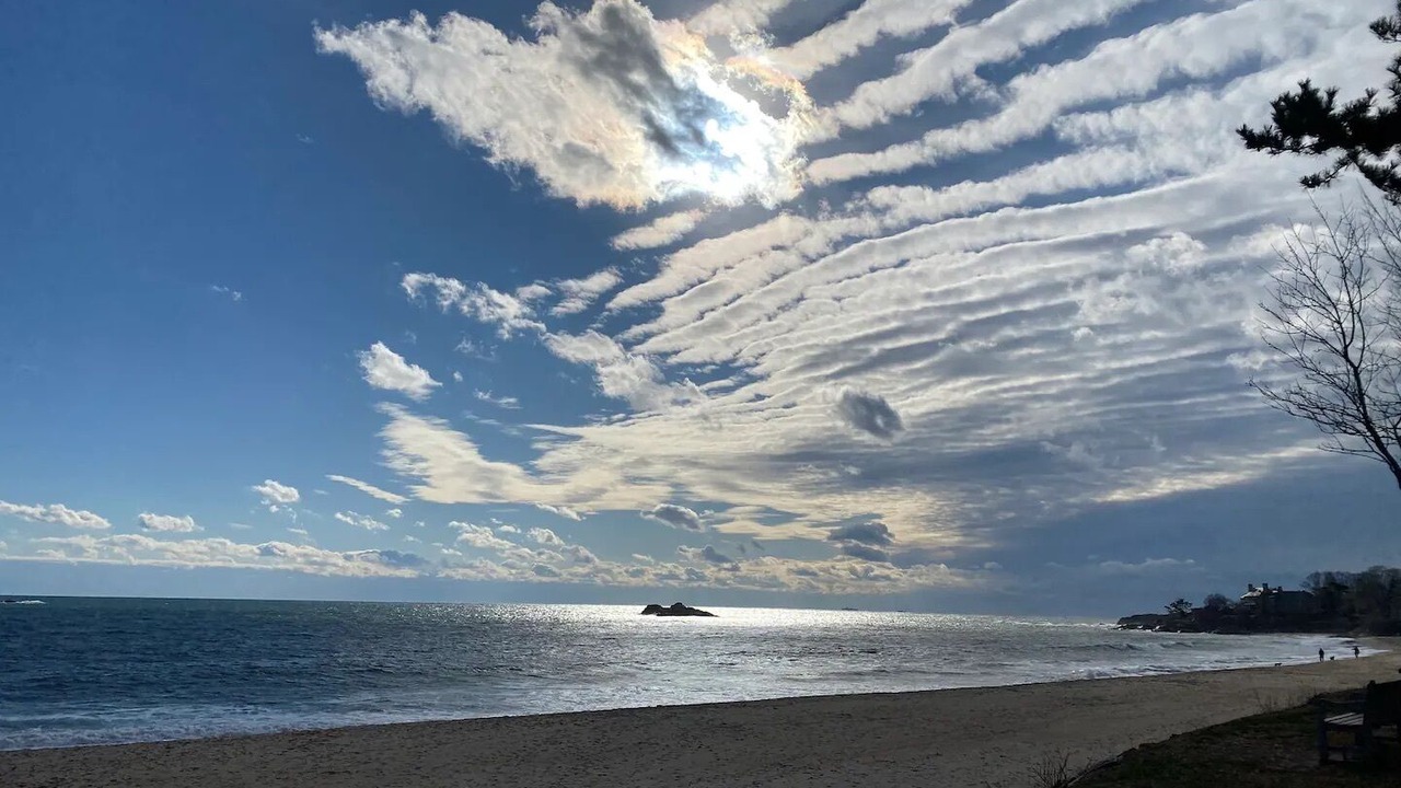 Photo of Others in Manchester-by-the-Sea