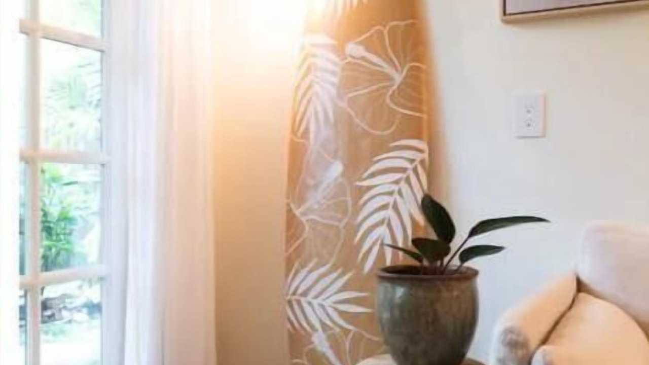 Photo of Others in Hanalei