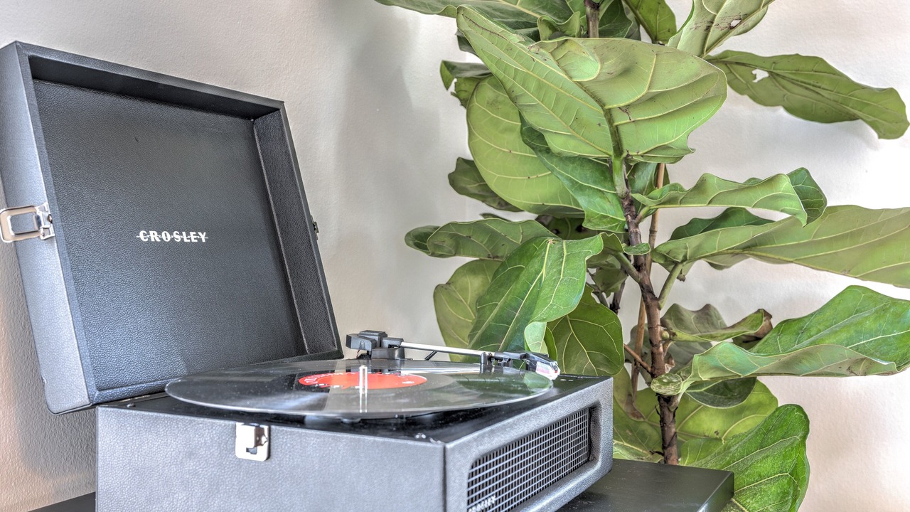 Photo of Others in Sisters