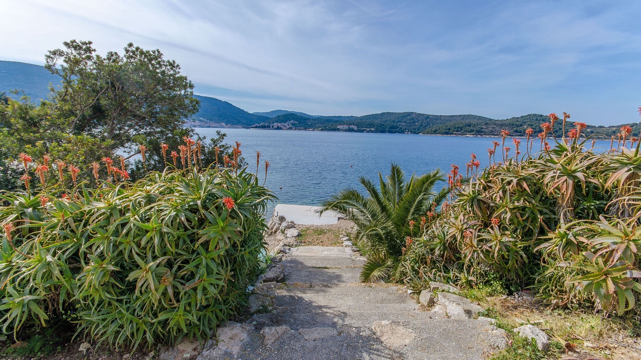 Photo of Outdoor in Cove Rogacic