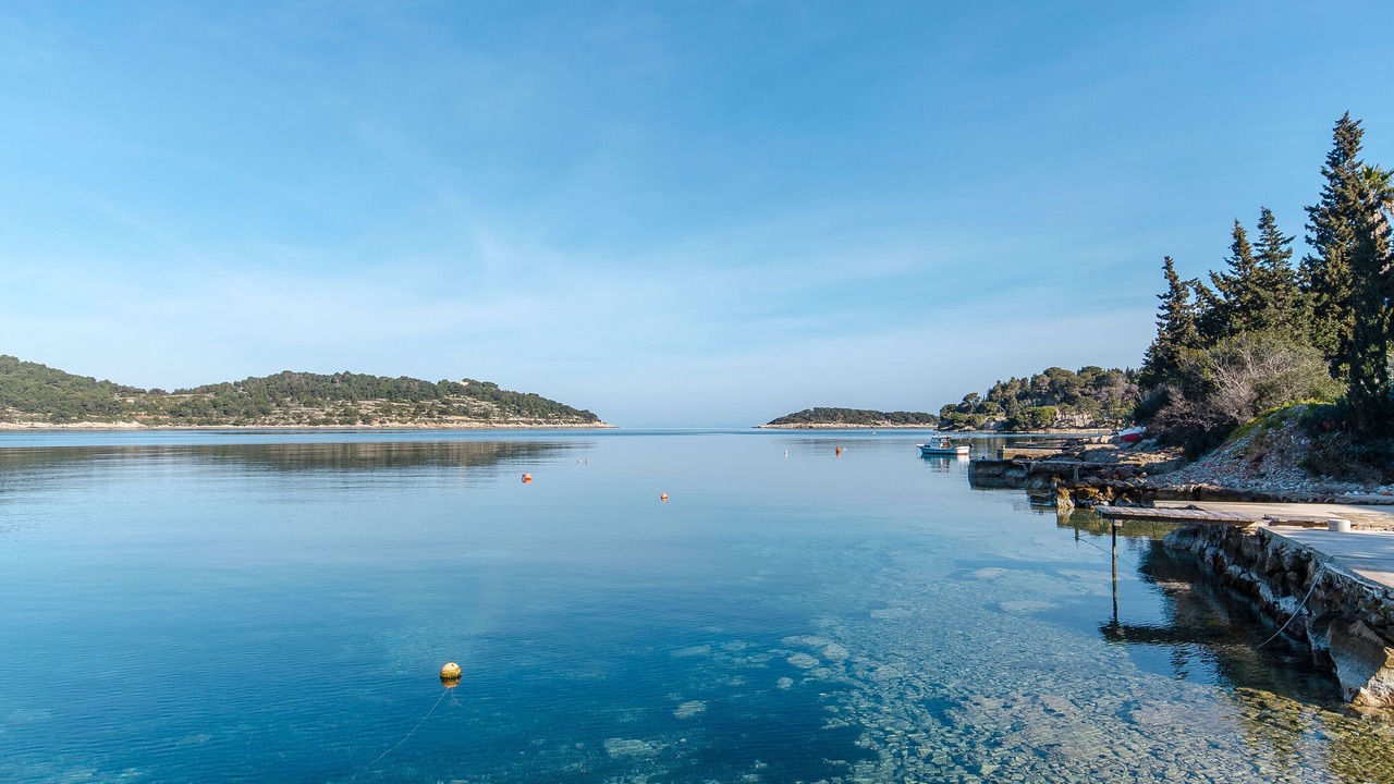Photo of Others in Cove Rogacic