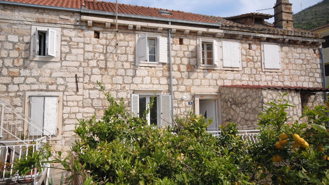 Photo of Outdoor in Cove Rogacic