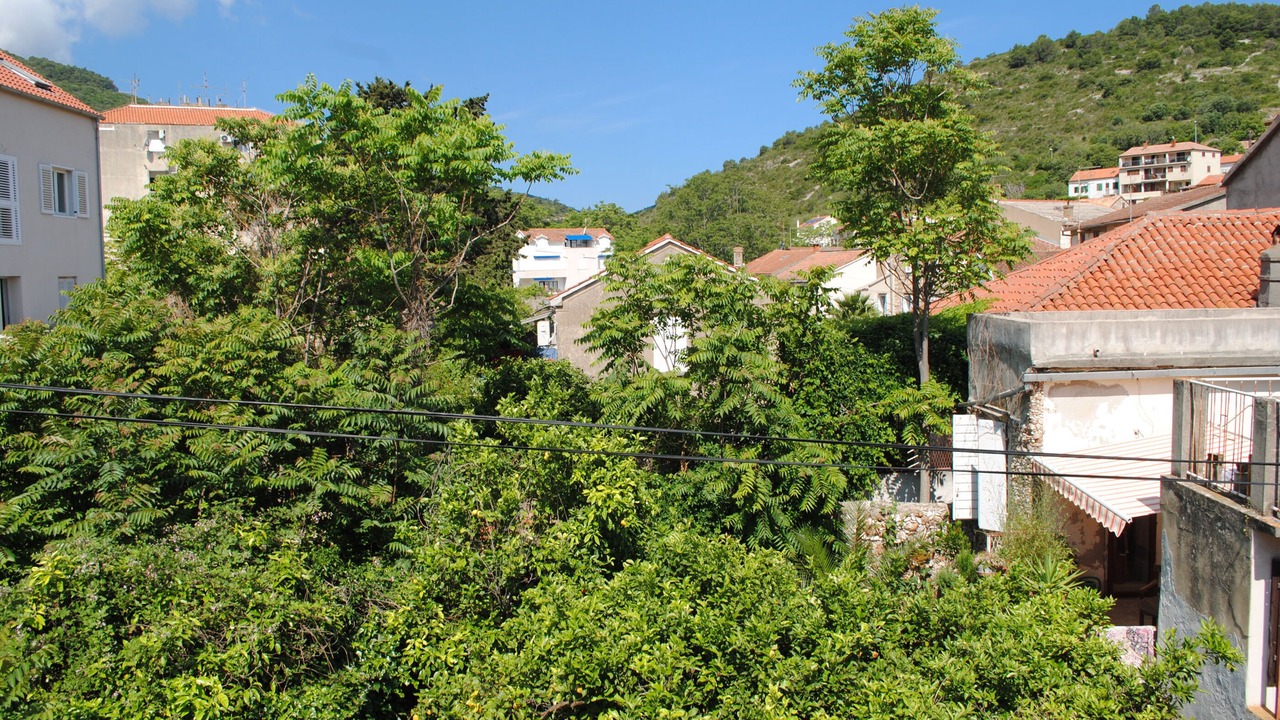 Photo of Outdoor in Cove Rogacic