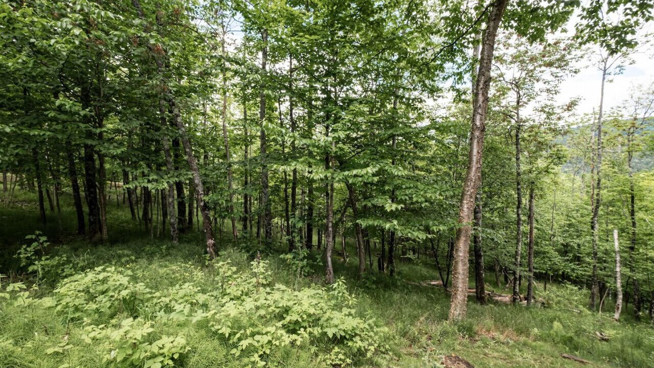 Photo of Others in Mont-Tremblant