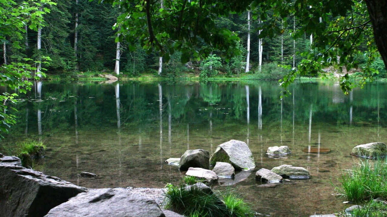 Photo of Outdoor in Raon-sur-Plaine