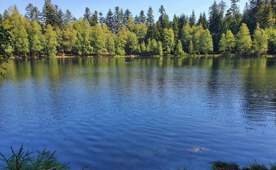 Photo of Bathroom in Raon-sur-Plaine