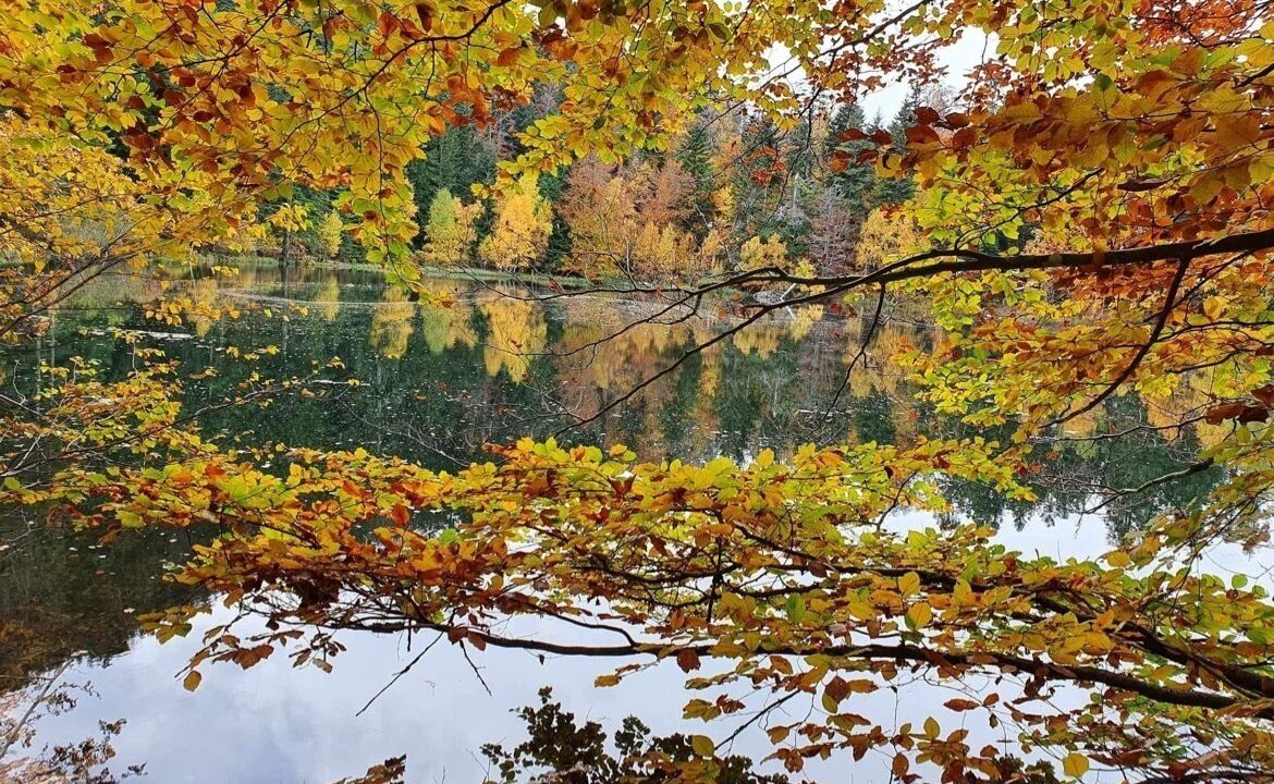 Photo of Bathroom in Raon-sur-Plaine