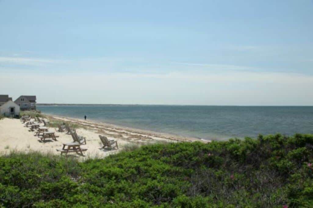 Photo of Others in North Truro