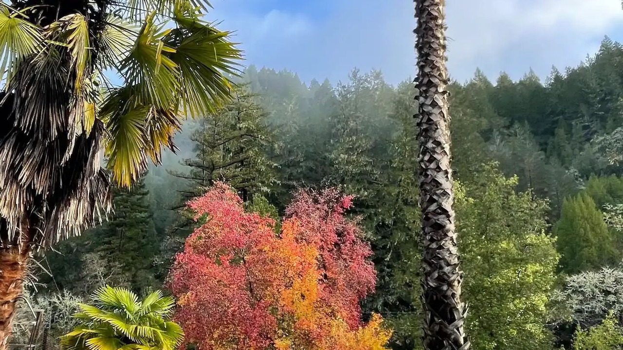 Photo of Outdoor in Cazadero