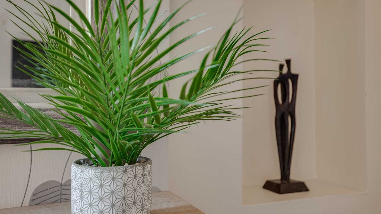 Photo of Others in Coalville