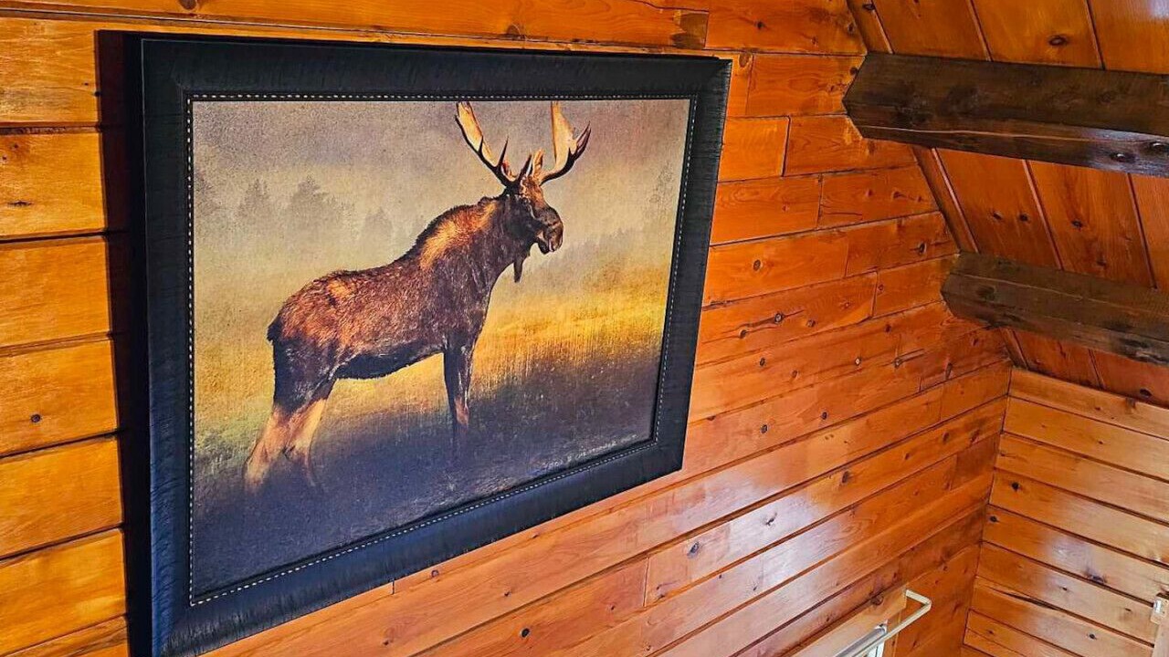 Photo of Others in Beaver Cove