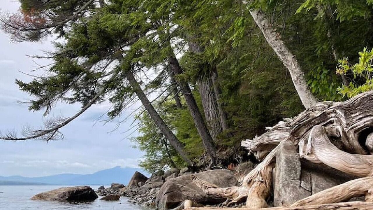 Photo of Outdoor in Beaver Cove