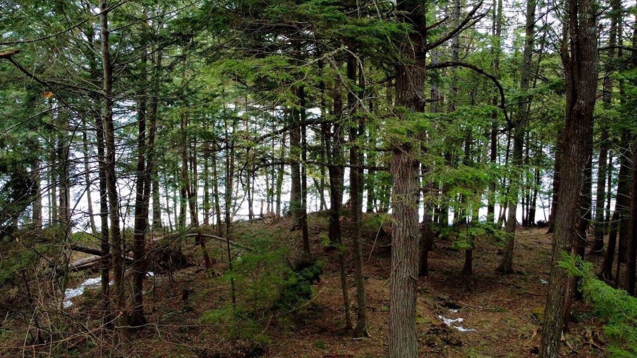 Photo of Outdoor in Beaver Cove