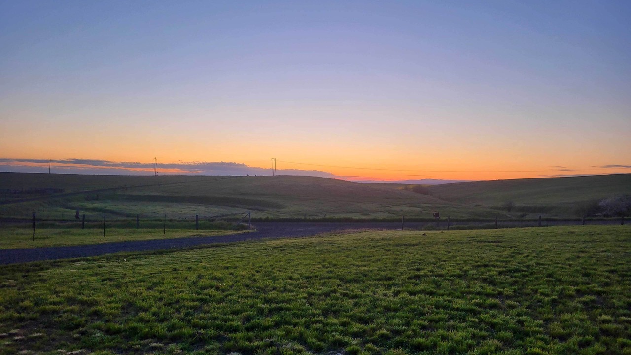 Photo of Others in Fenn