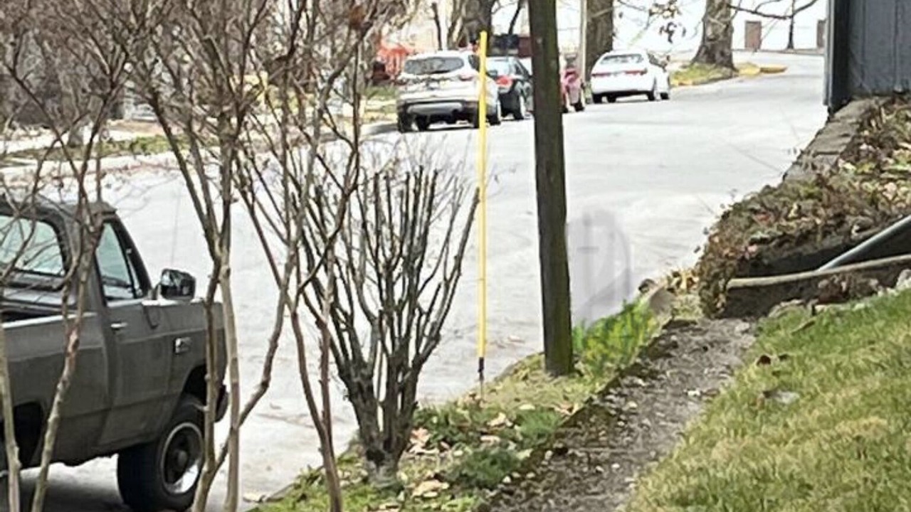 Photo of Others in Madison