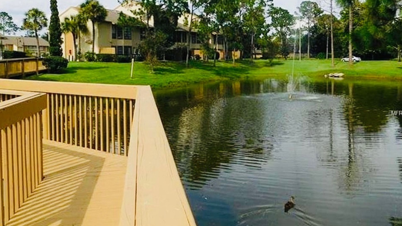 Photo of Outdoor in Southwest Orlando