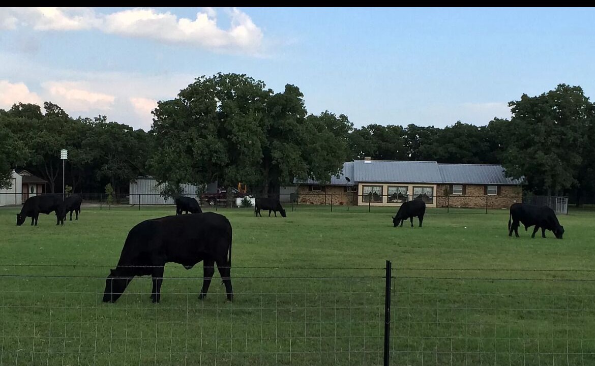 Photo of Others in Perry