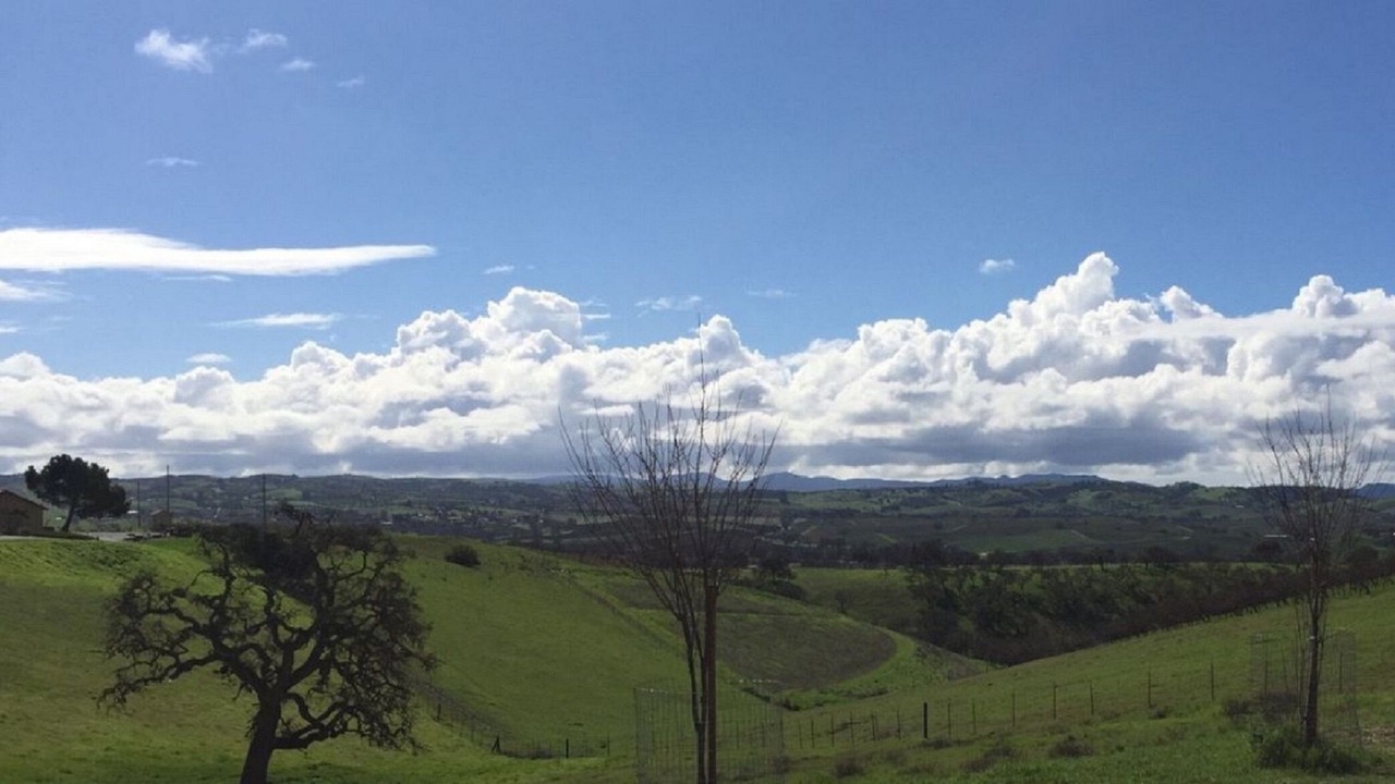 Photo of Others in Paso Robles