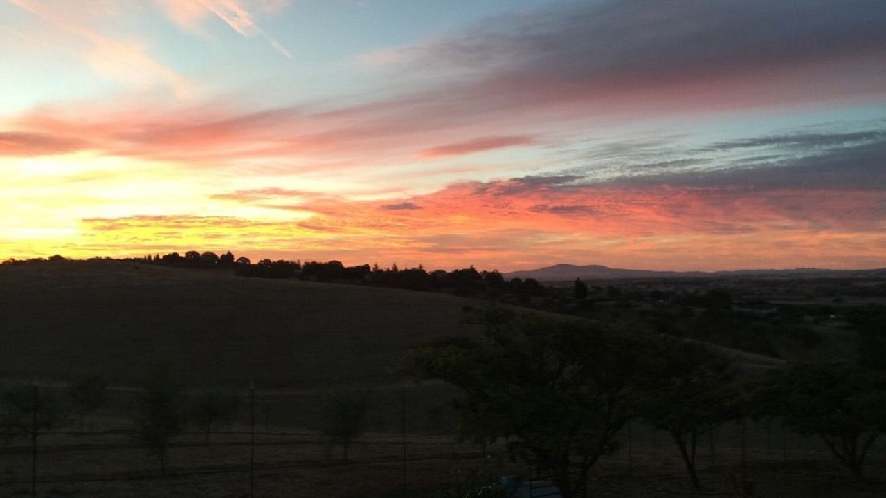 Photo of Others in Paso Robles