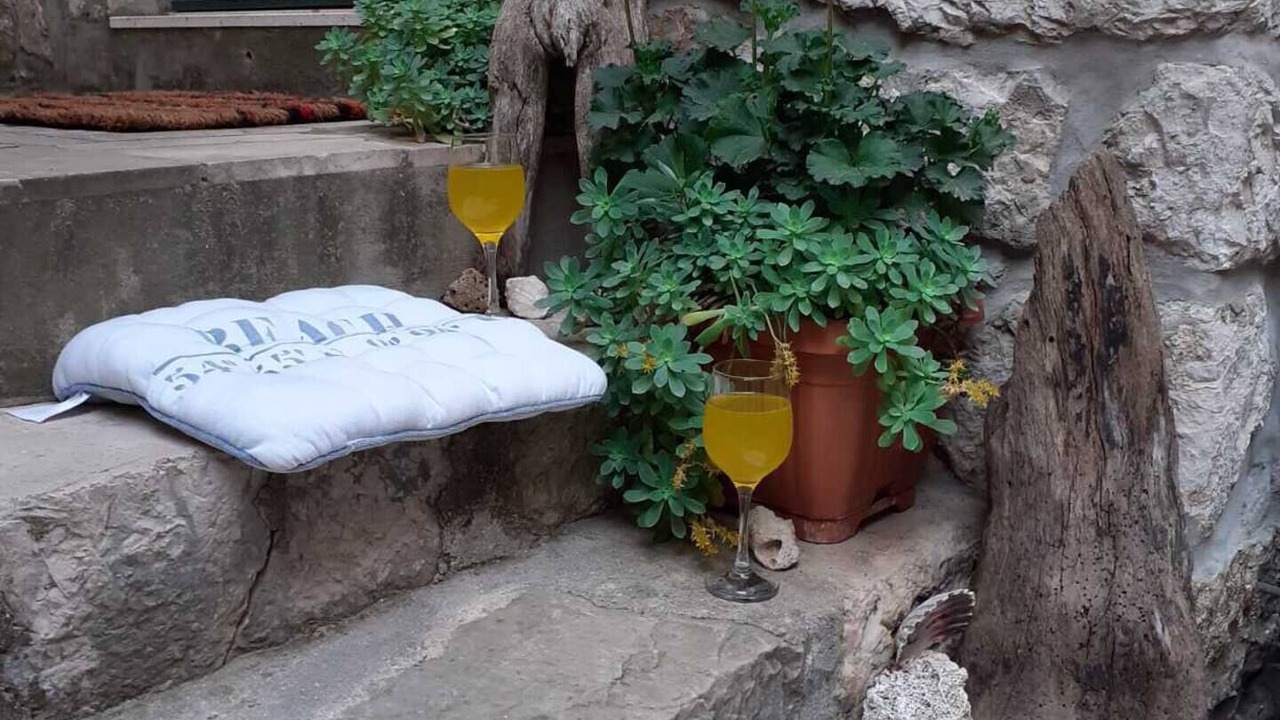 Photo of Outdoor in Mali Ston
