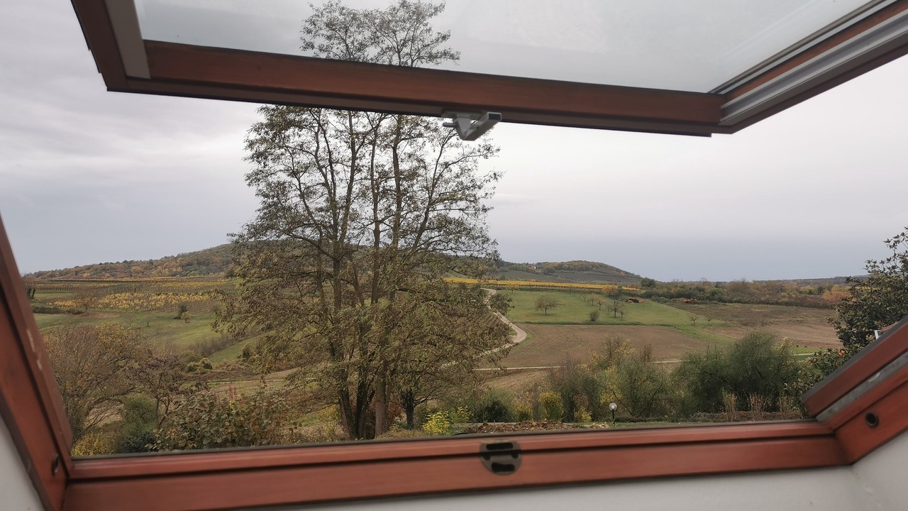 Photo of Others in Rosheim