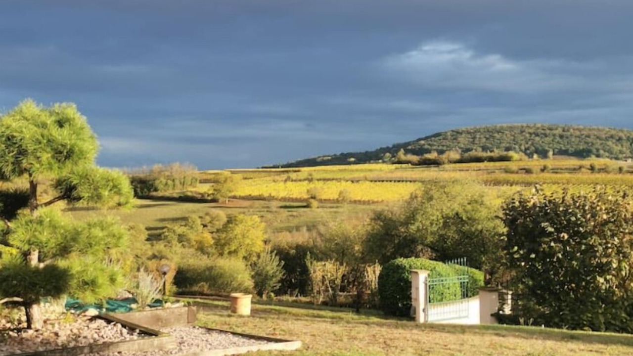 Photo of Outdoor in Rosheim