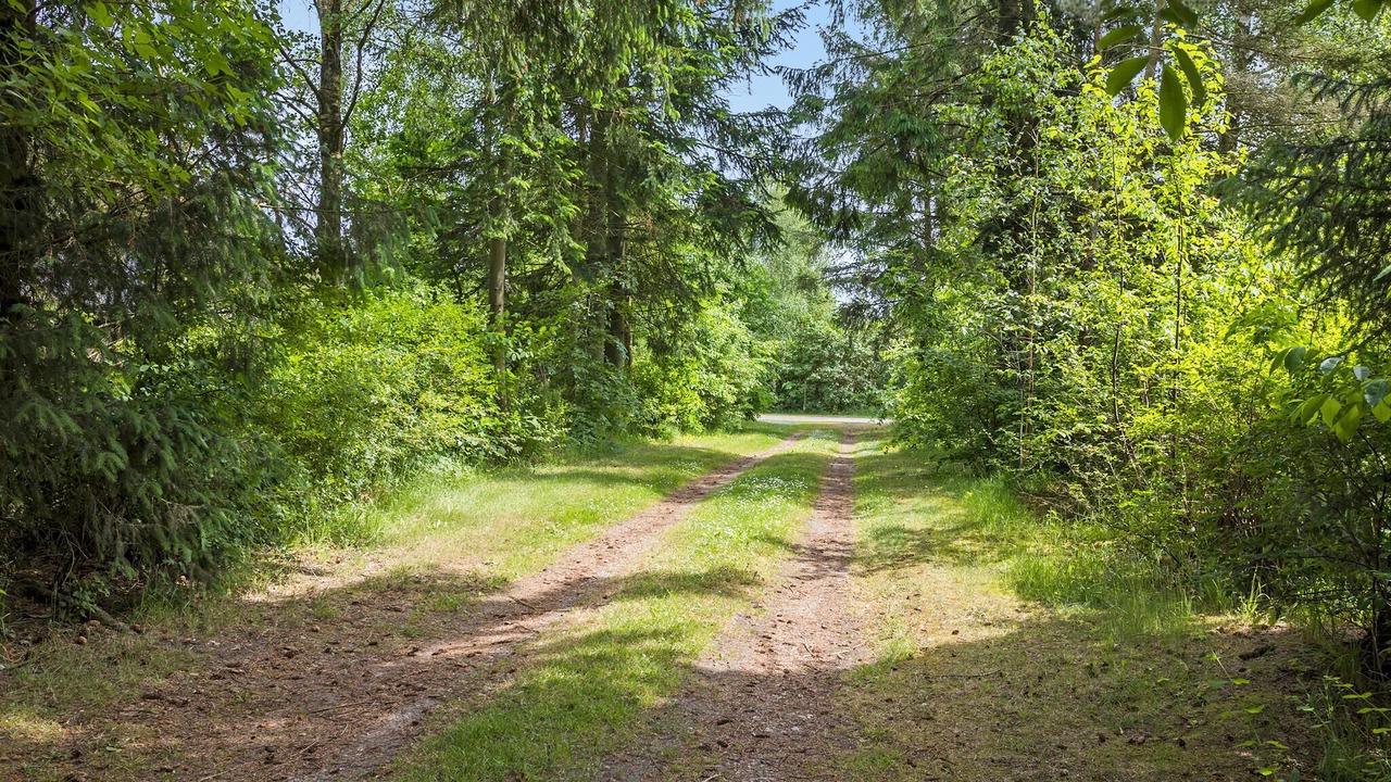 Photo of Others in Hojslev