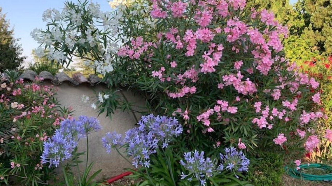 Photo of Outdoor in Millery