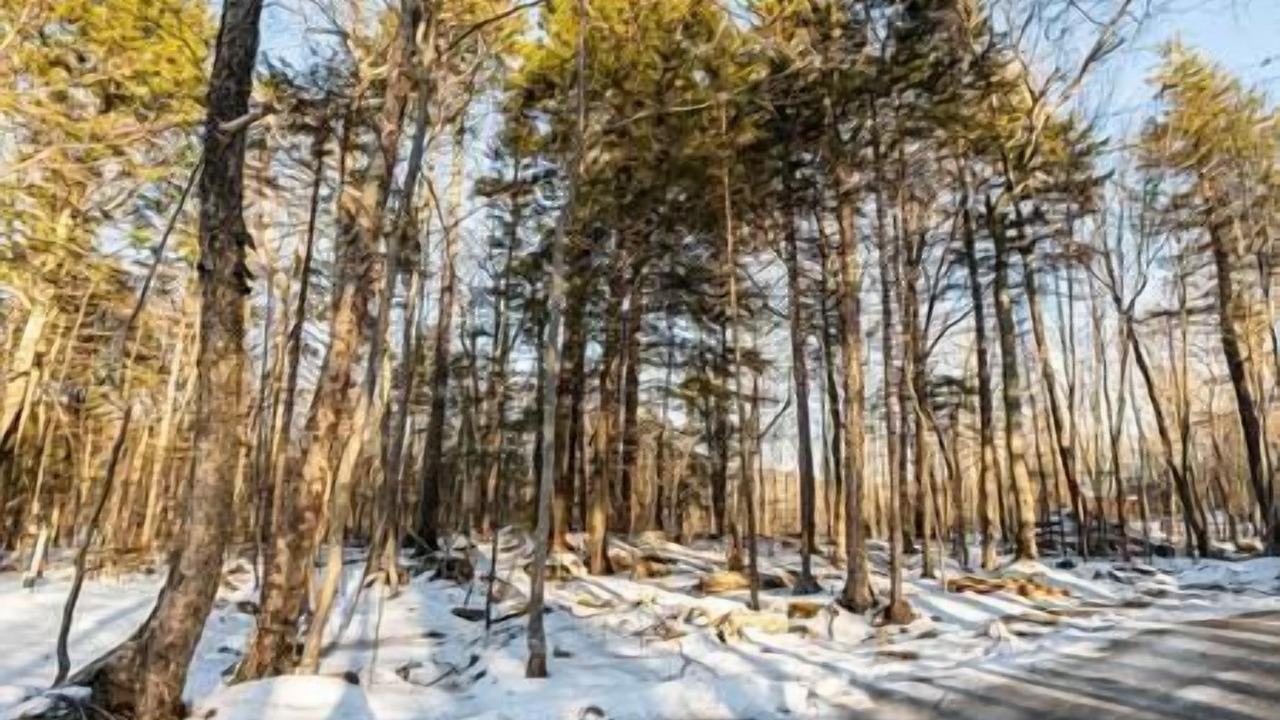 Photo of Others in Mont-Tremblant