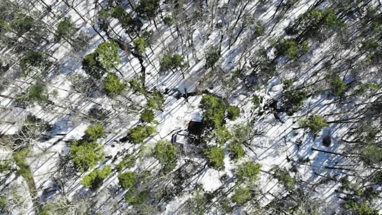 Photo of Outdoor in Saugerties