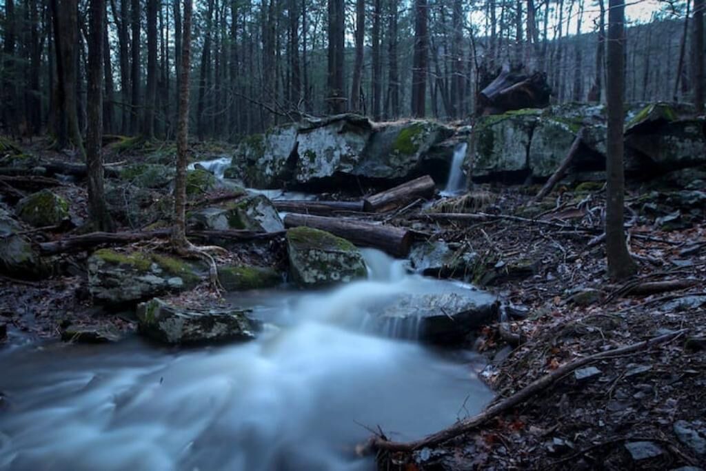 Photo of Outdoor in Saugerties